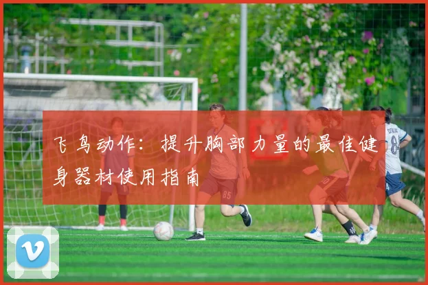 飞鸟动作：提升胸部力量的最佳健身器材使用指南