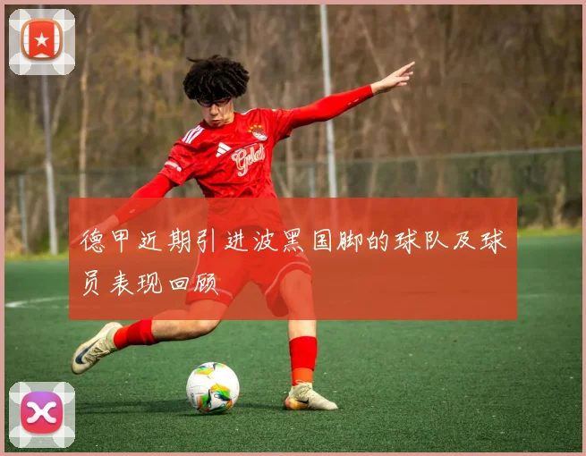 德甲近期引进波黑国脚的球队及球员表现回顾