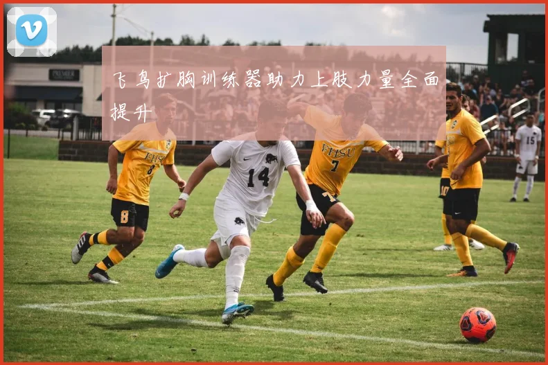 飞鸟扩胸训练器助力上肢力量全面提升